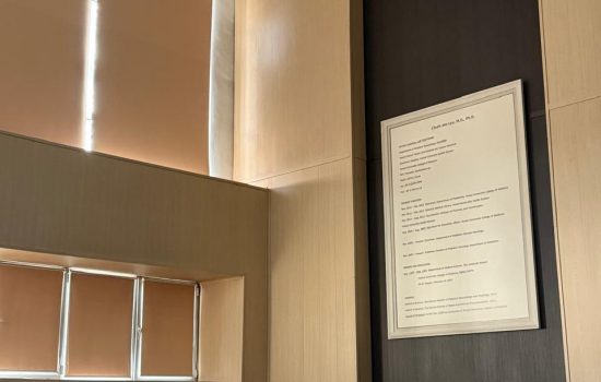 WhatsApp Image 2025-12-11 at 16.11.10___1765451588.9805014