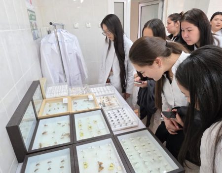 WhatsApp Image 2026-04-24 at 07.54.47___1777017611.4310706